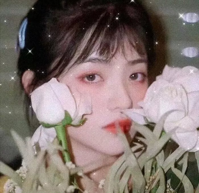 恋爱研究所